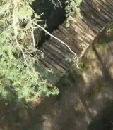 Il processo di produzione di un pannello per pavimenti in una breve animazione GIF.