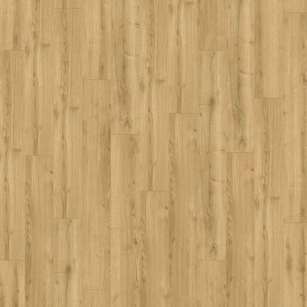 kiwi-now_40KN792-3