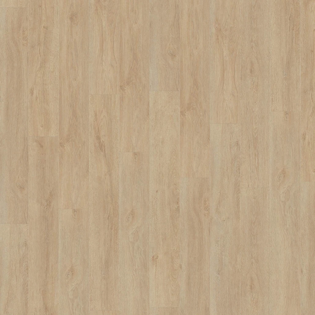 kiwi-now_91KN832_general-3